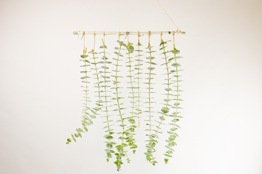 Florist «Fremont Flower Pavilion — The Fremont Florist», reviews and photos, 2090 Warm Springs Ct #148, Fremont, CA 94539, USA