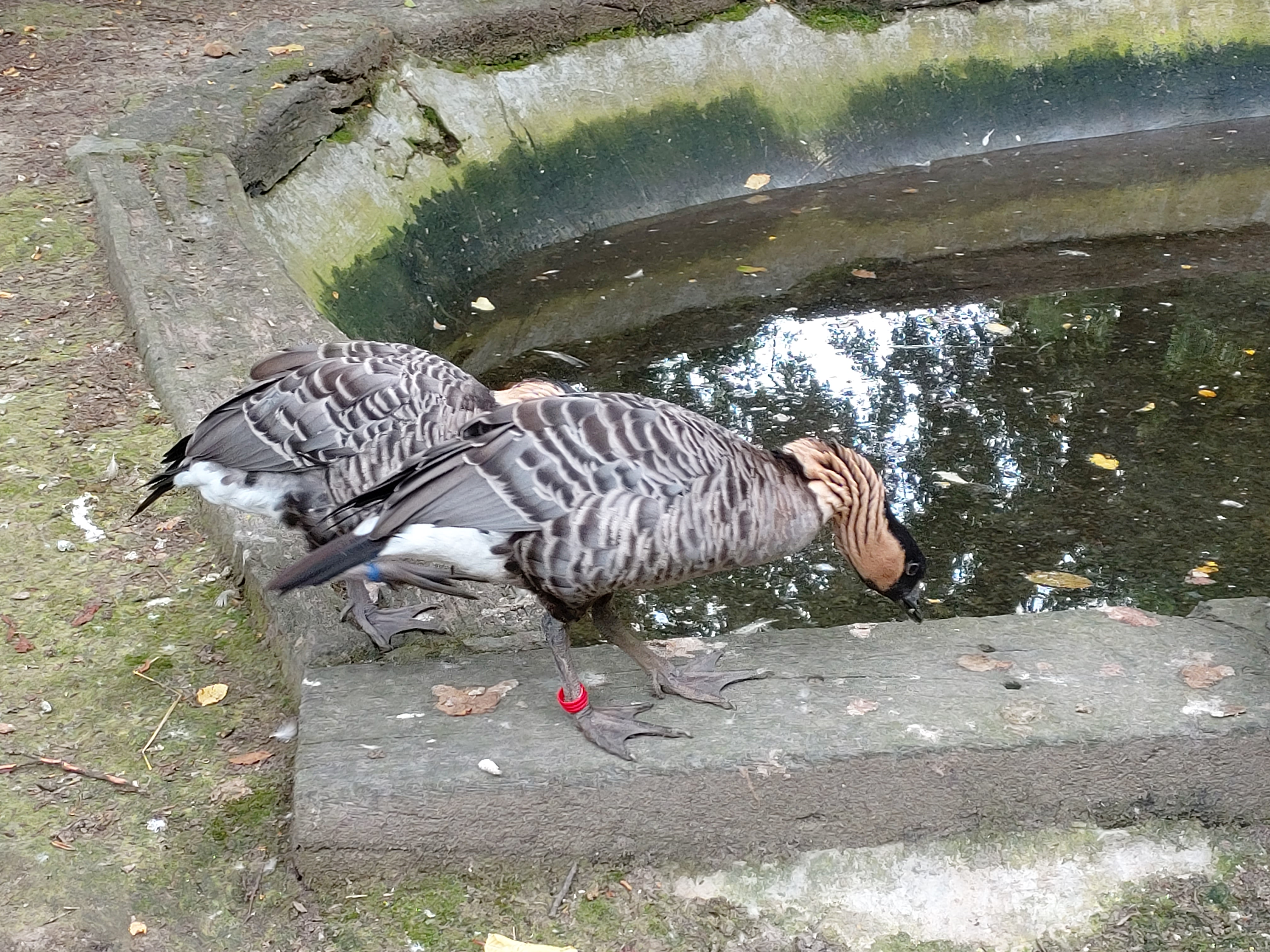 Photo n° 8 de l'avis de DJ.i fait le 12/06/2021 à 15:42