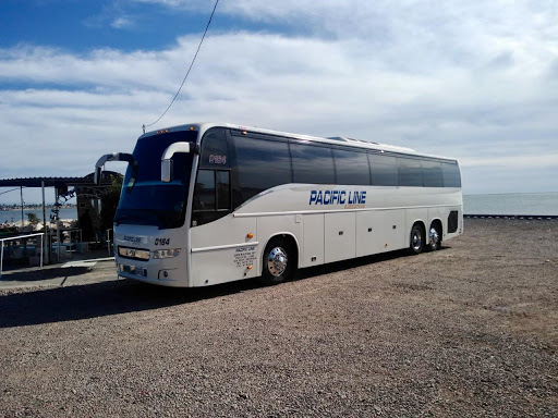 Viajes Almar Co & Horses Shuttle