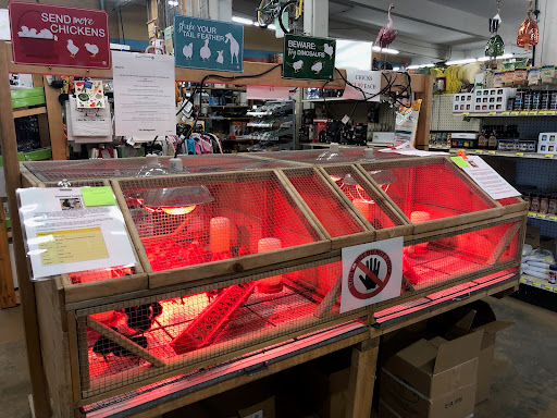 Portal Way Farm And Garden