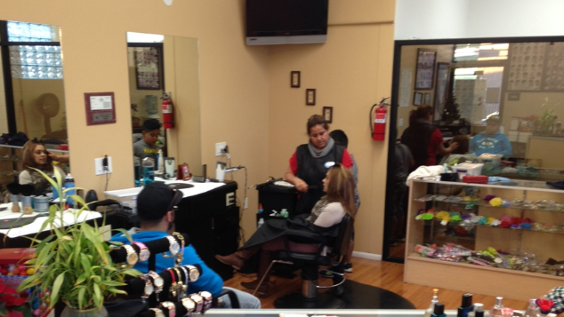 Alicia's family hair salon 93001