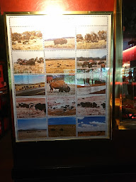 Photo n°20 de Buffalo Grill Fougères à Fougères ()