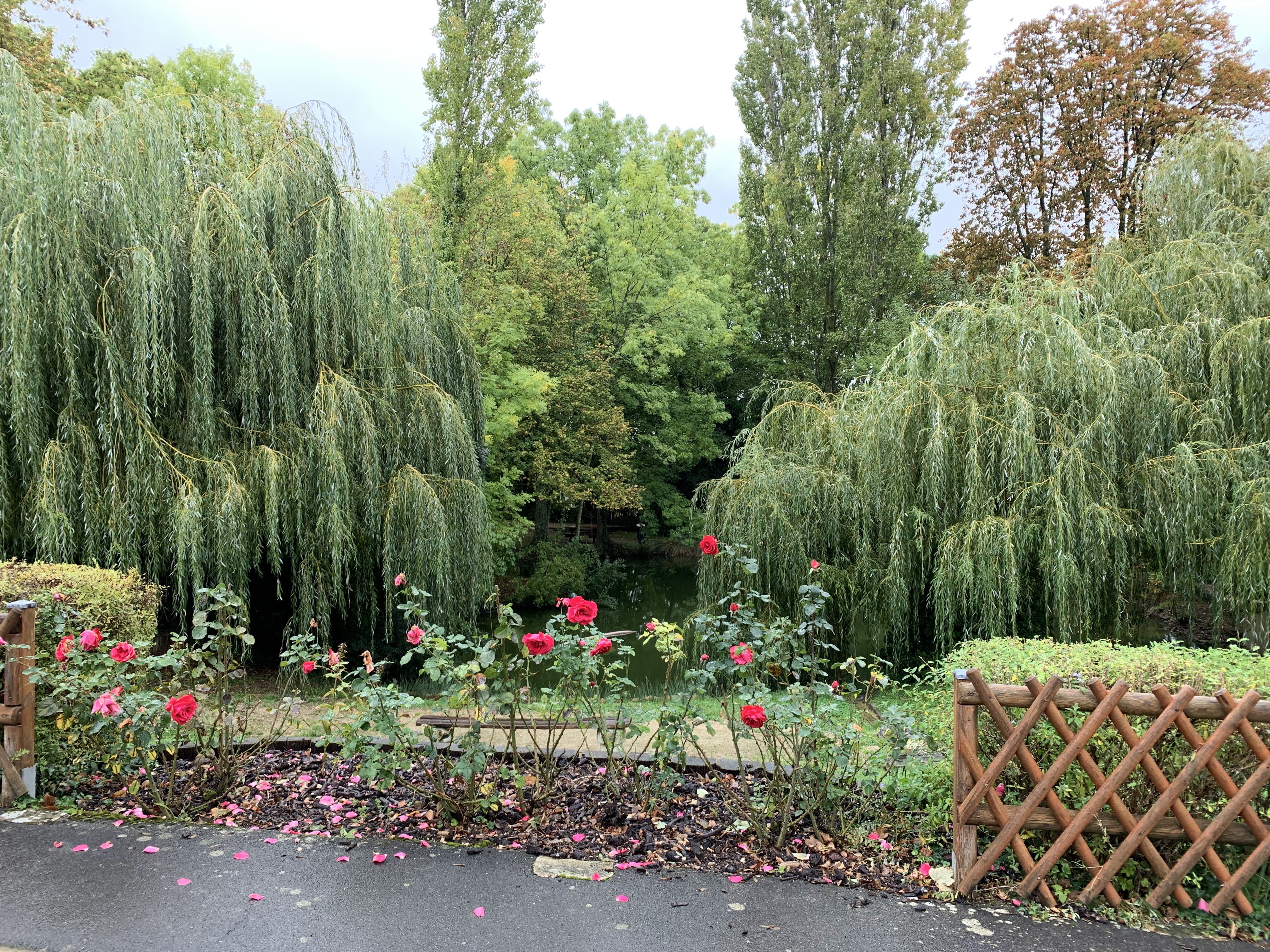 Photo n° 2 de l'avis de marlene.e fait le 18/10/2019 à 16:14