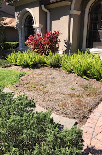 LRS Sod and Landscaping - Photo 6 - Car repair in New Port Richey, FL, Clearwater