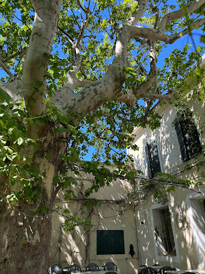 Les Tonnelles à Marseille