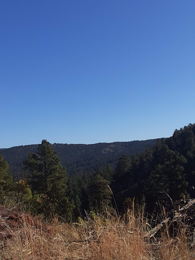 Casino «Wildwood Casino», reviews and photos, 119 N Fifth St, Cripple Creek, CO 80813, USA