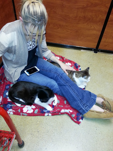 Pet Supply Store «PetSmart», reviews and photos, 181 Wilson Ave, Hanover, PA 17331, USA