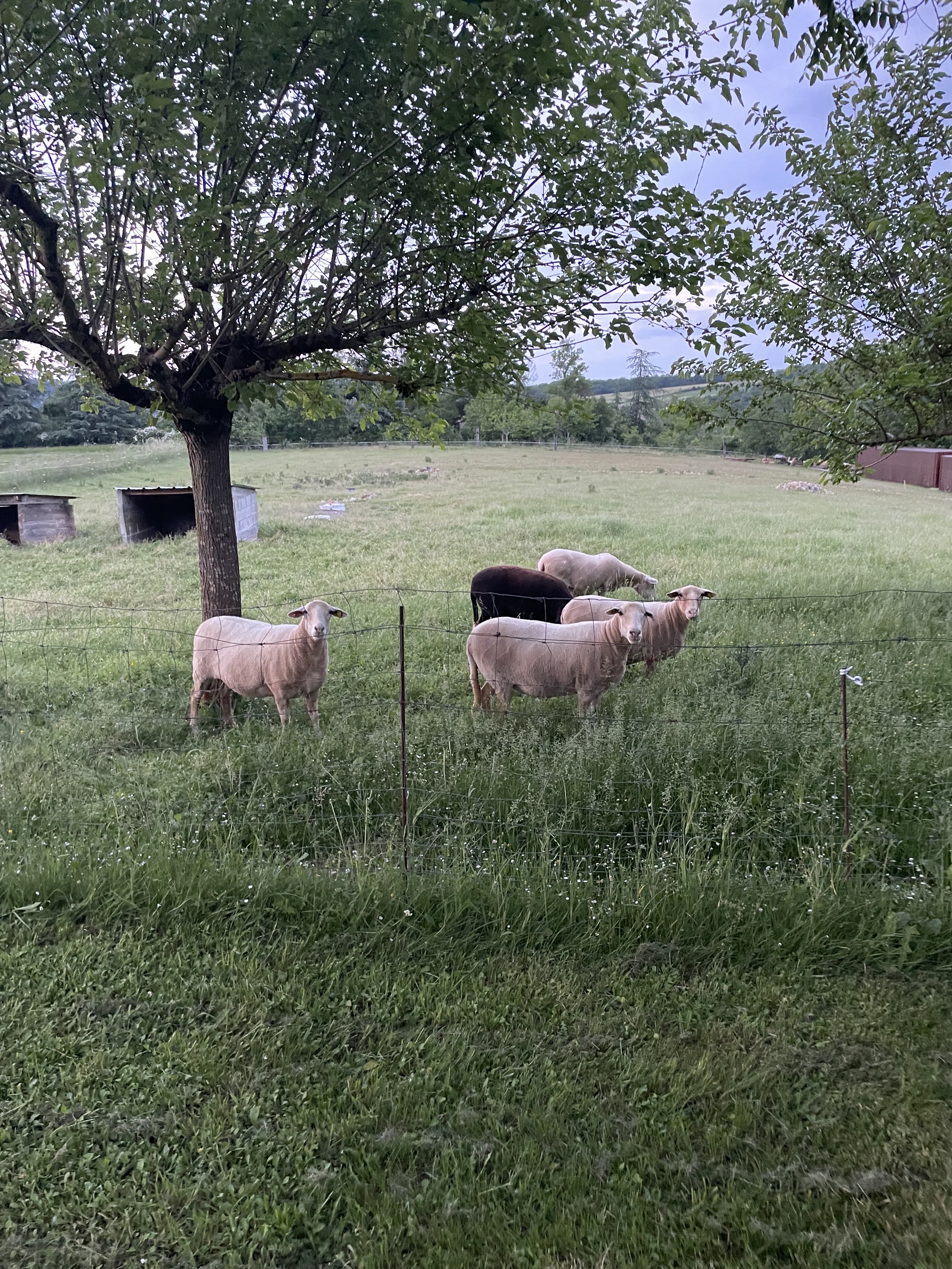 Photo n° 2 de l'avis de Stéphanie.e fait le 20/05/2023 à 15:20