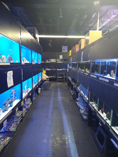 Pet Store «Something Fishy: Saltwater Aquarium Superstore», reviews and photos, 511 E 21st St, Northampton, PA 18067, USA