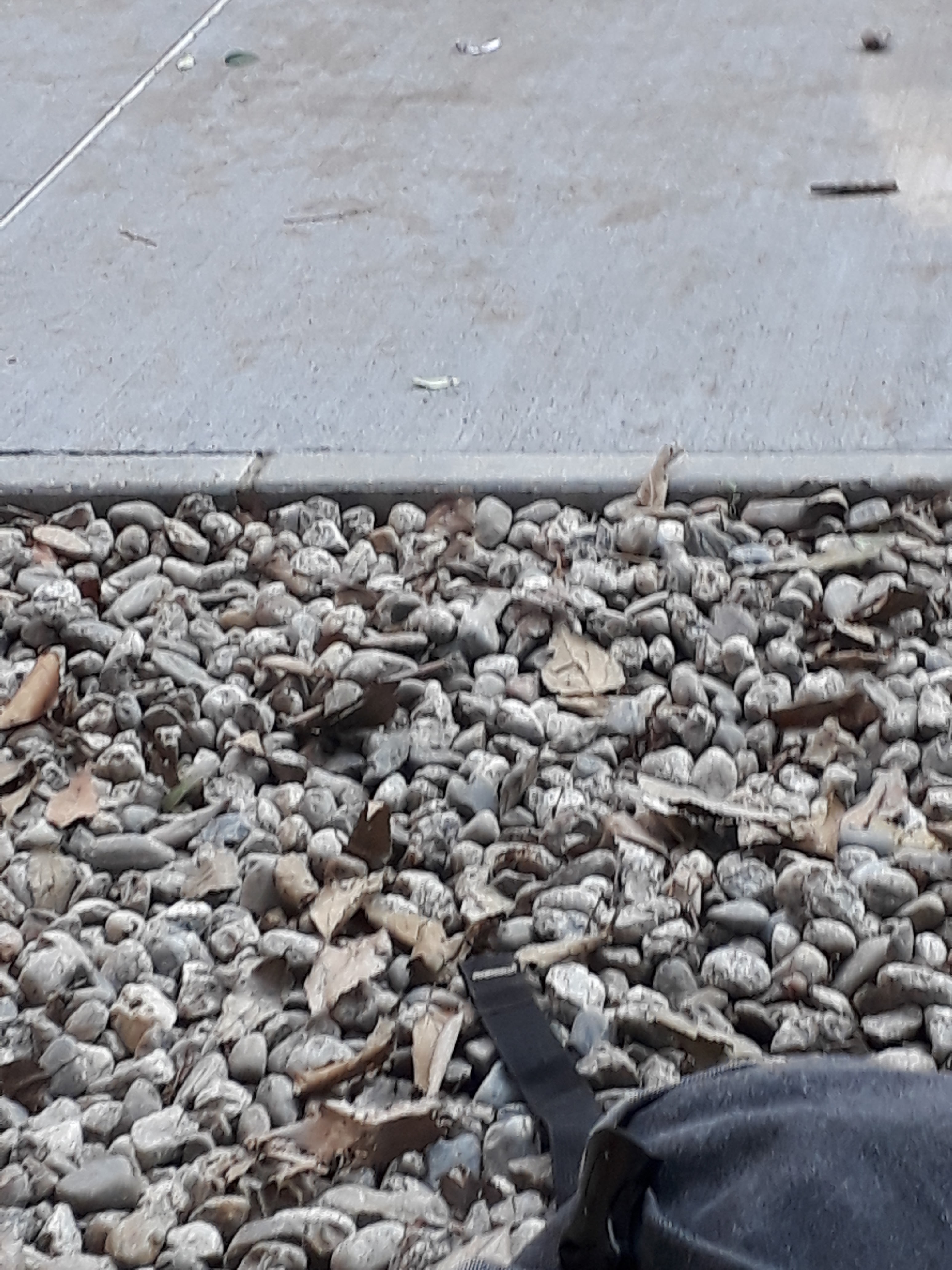 Photo n° 21 de l'avis de William.m fait le 11/12/2018 à 12:09
