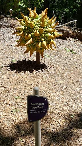 Natural History Museum «Fernbank Museum of Natural History», reviews and photos, 767 Clifton Rd, Atlanta, GA 30307, USA