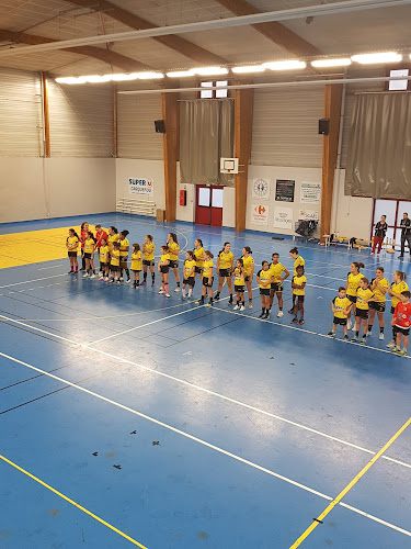 Centre de loisirs Carquefou Handball Carquefou