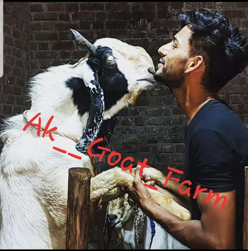 AK goat farm and animal feeds