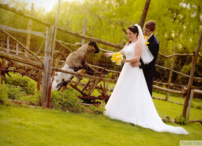 PauliZ Foto - Pavlína Zatloukalová fotograf - Fotograf