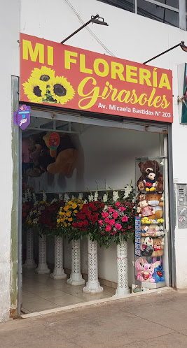 Av. Micaela Bastidas 203, Cusco 08002