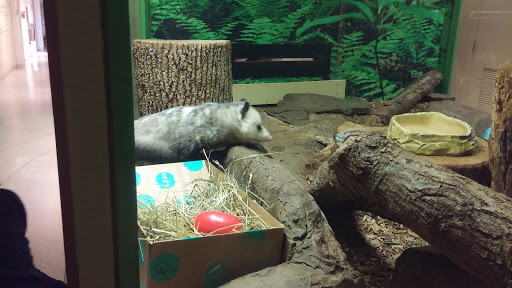 Museum «EcoTarium», reviews and photos, 222 Harrington Way, Worcester, MA 01604, USA