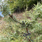 Photo n°5 de l'avis de Dominik. fait le 02/10/2021 à 13:25 sur le  Wasserberghaus à Bad Überkingen