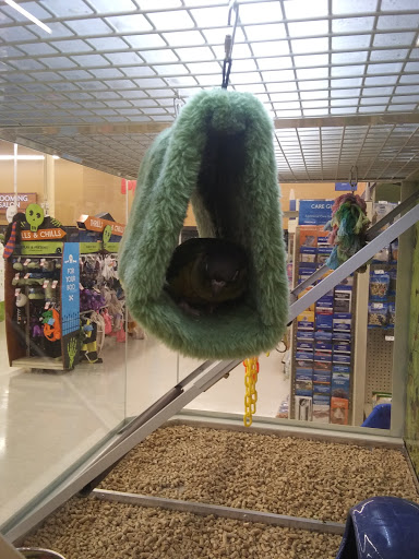 Pet Supply Store «PetSmart», reviews and photos, 36395 Euclid Ave, Willoughby, OH 44094, USA