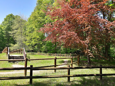 Sentier du Grillon à Dourdan