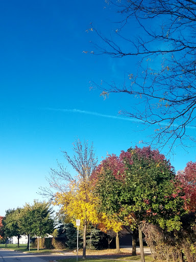 Park «Prairie Park», reviews and photos, 431 Knollwood Dr, Barrington, IL 60010, USA