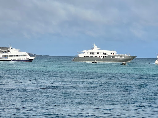 SA Expeditions image