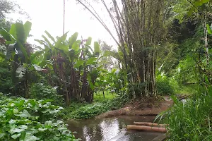 Petung Natural Water image