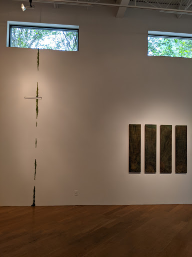 Art Gallery «Moody Gallery», reviews and photos, 2815 Colquitt St, Houston, TX 77098, USA