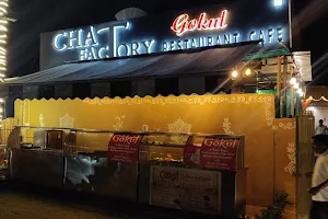 Gokul Restro & Chaat Factory || Pure Veg Garden Restaurant in Kota image