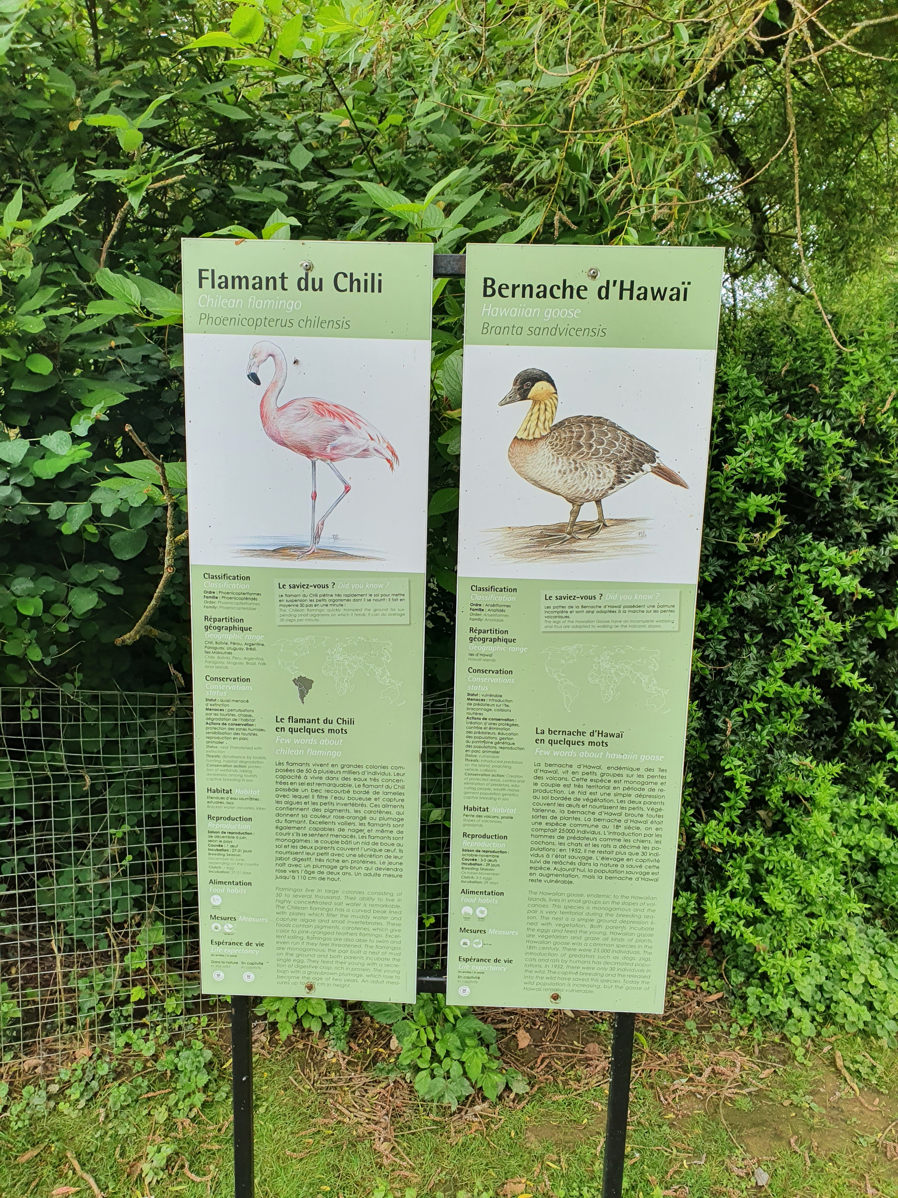 Photo n° 12 de l'avis de VIRGINIE.A fait le 10/06/2022 à 13:51