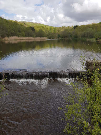 Strinesdale Country Park