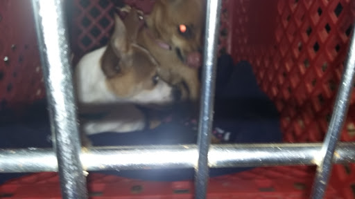 Pet Supply Store «Petco Animal Supplies», reviews and photos, 1337 N National Rd, Columbus, IN 47201, USA