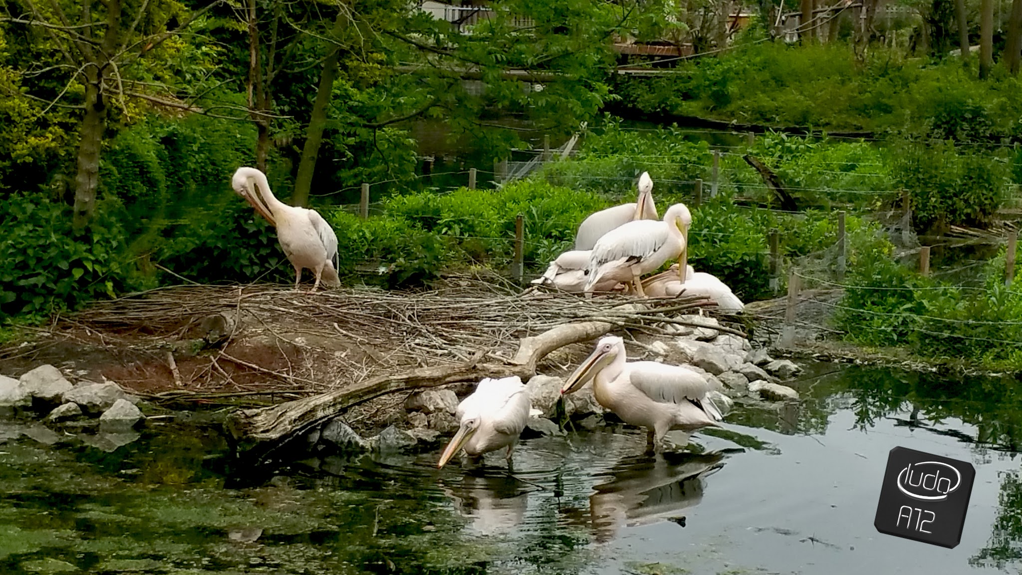 Photo n° 3 de l'avis de ludo.u fait le 16/06/2017 à 18:19