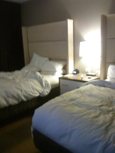 Hotel «DoubleTree by Hilton Hotel Reading», reviews and photos, 701 Penn St, Reading, PA 19601, USA