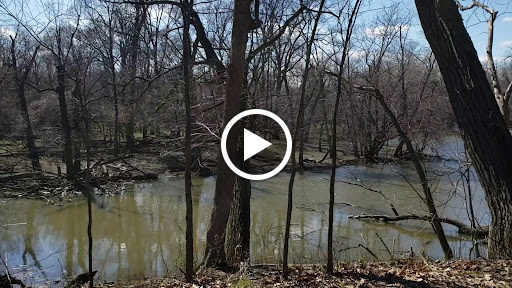 Learning Center «Trailside Museum of Natural History», reviews and photos, 738 Thatcher Ave, River Forest, IL 60305, USA