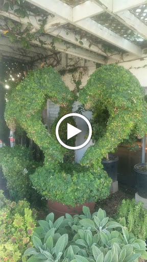 Florist «Empty Vase Florist», reviews and photos, 9033 California Route 2, Los Angeles, CA 90069, USA