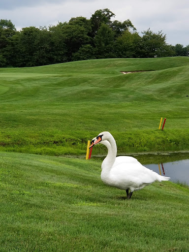 Golf Course «Turtle Creek Golf Course», reviews and photos, 303 W Ridge Pike, Limerick, PA 19468, USA