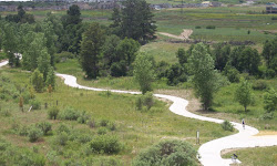 East Plum Creek Trail - Meadows Trailhead and Parking