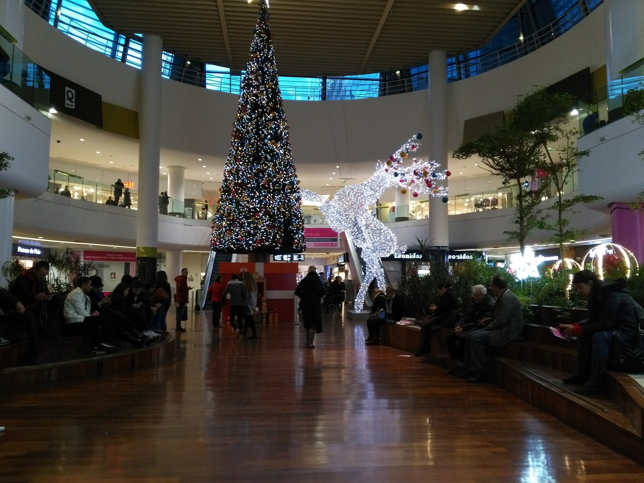 Photo n° 8 de l'avis de Lost.u fait le 19/12/2016 à 21:47