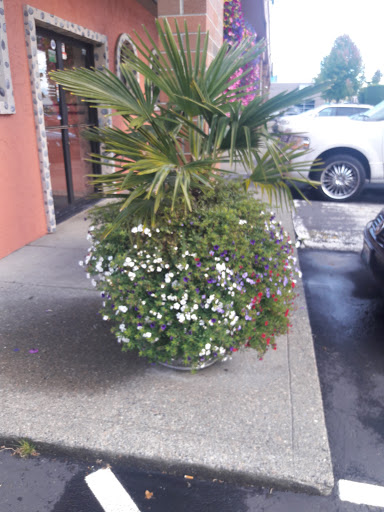 Grocery Store «Albertsons», reviews and photos, 11012 Canyon Rd E, Puyallup, WA 98373, USA