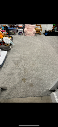 Green carpet & upholstery cleaning Boston