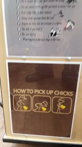 Home Improvement Store «Tractor Supply Co.», reviews and photos, 621 River Rd, Puyallup, WA 98371, USA