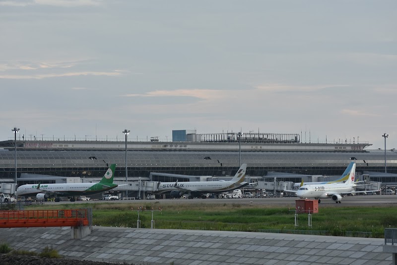 飛行機の橋?