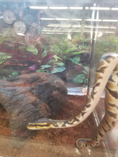 Pet Supply Store «Petco Animal Supplies», reviews and photos, 3380 124th Ave NW, Coon Rapids, MN 55433, USA