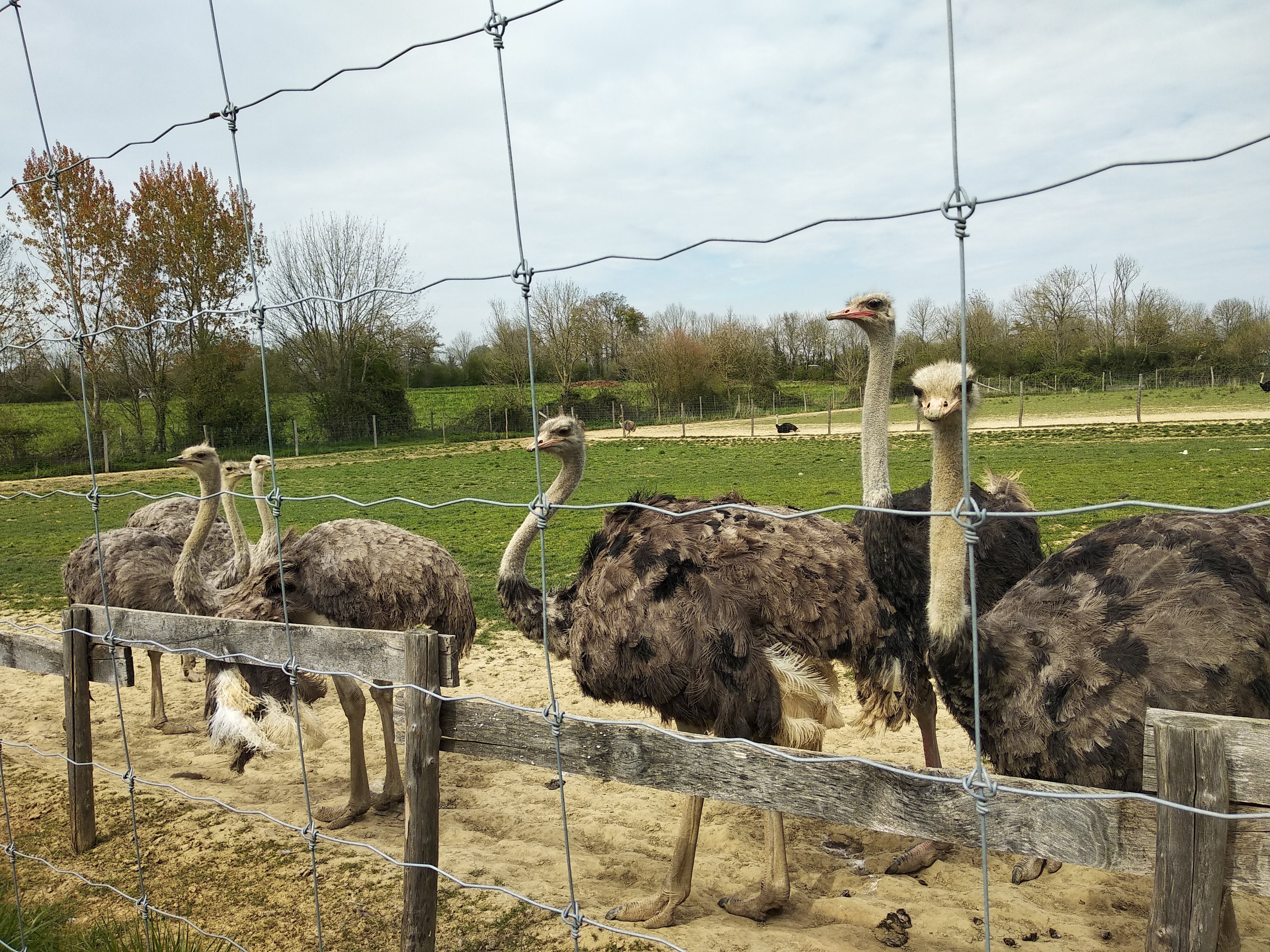 Photo n° 8 de l'avis de Corinne.r fait le 20/04/2019 à 14:41