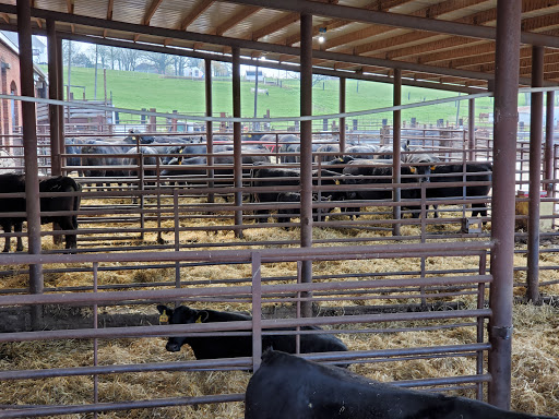 Edina Livestock Sales LLC