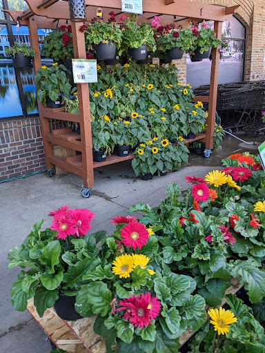 Supermarket «Wegmans», reviews and photos, 601 Amherst St, Buffalo, NY 14207, USA