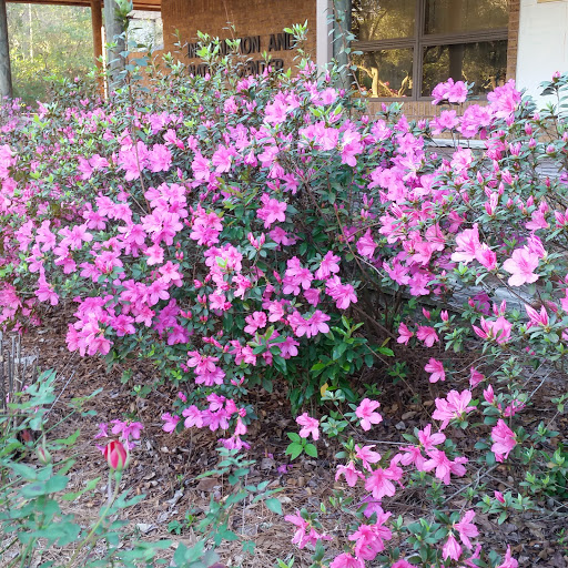 Park «Jesse H. Jones Park & Nature Center», reviews and photos, 20634 Kenswick Dr, Humble, TX 77338, USA