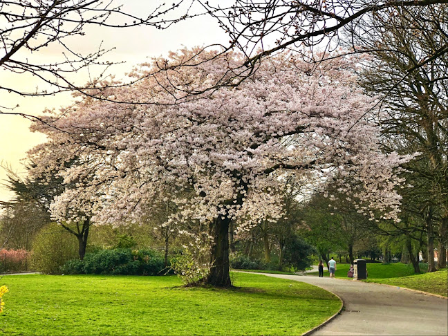 Comments and reviews of Stanley Park Car Park