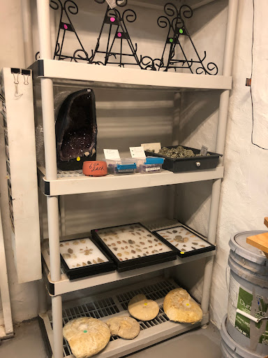 Gift Shop «Stone Hut Fossil Shop», reviews and photos, 1184 FM 205, Glen Rose, TX 76043, USA