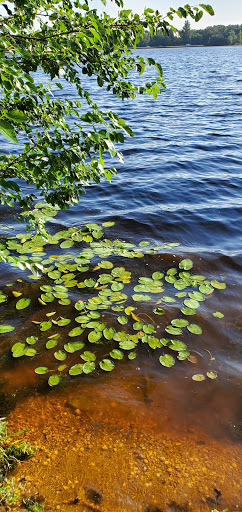 Park «Malaga Lake Park», reviews and photos, 445 Malaga Park Dr, Malaga, NJ 08328, USA